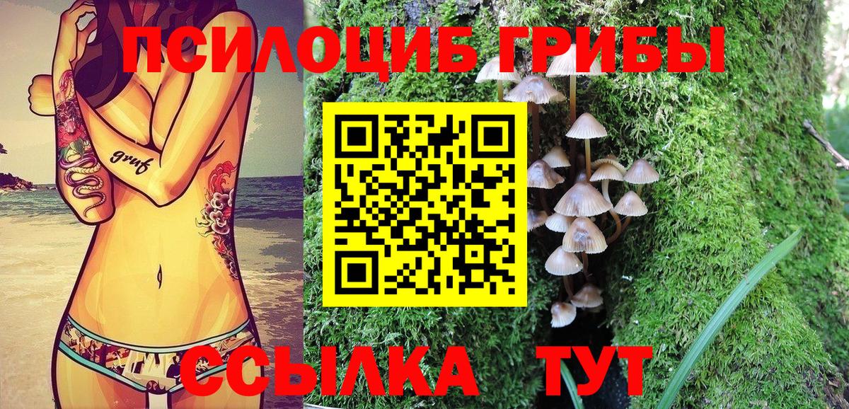 Новочеркасск  Галлюциногенные грибы Psilocybine cubensis  Вход с VPN 